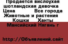 Продается вислоухая шотландская девочка › Цена ­ 8 500 - Все города Животные и растения » Кошки   . Ханты-Мансийский,Нягань г.